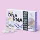 B-SELFIE DEEP DNA-RNA NEW FORMULA | Bios Beauty