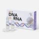 B-SELFIE DEEP DNA-RNA NEW FORMULA | Bios Beauty