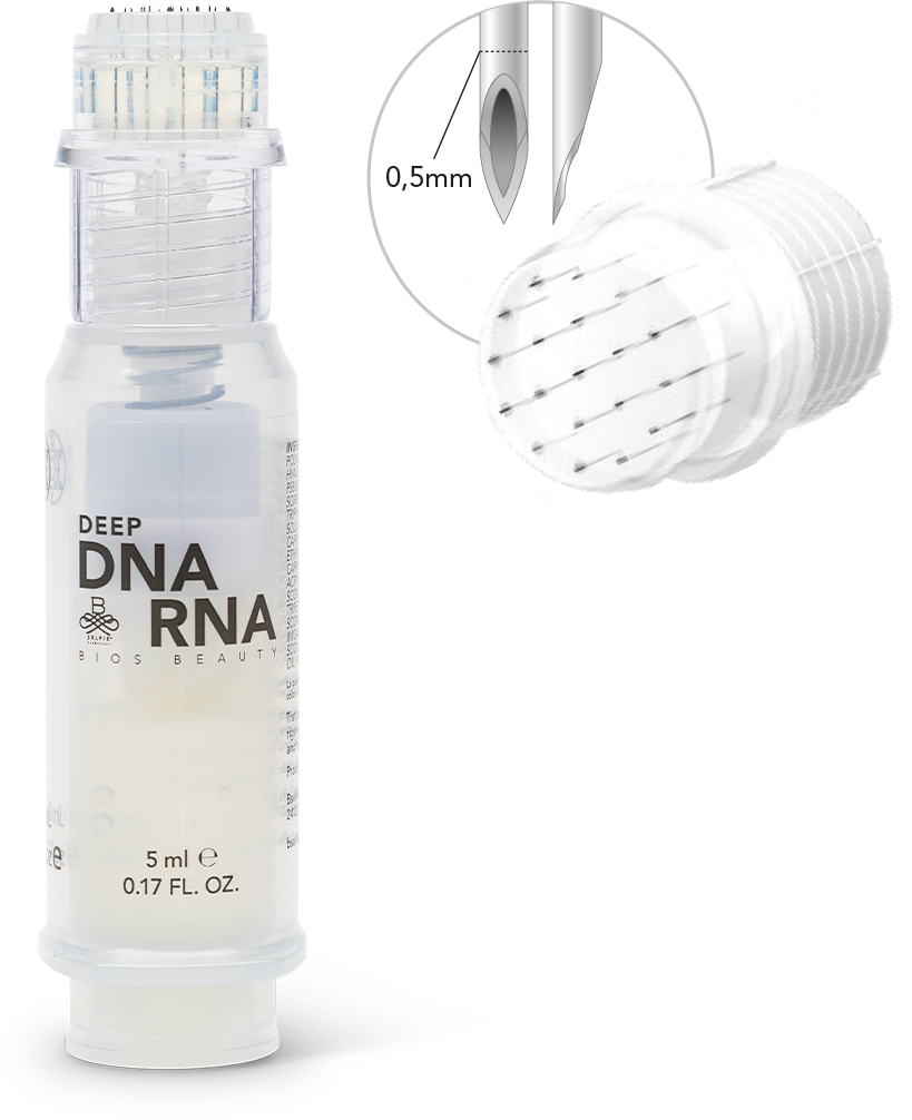 DEEP_DNA-RNA_siringa